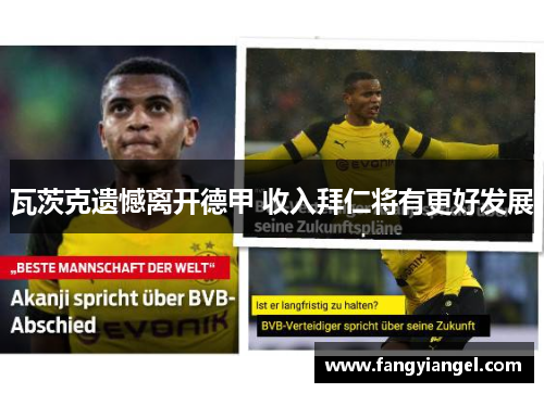 瓦茨克遗憾离开德甲 收入拜仁将有更好发展